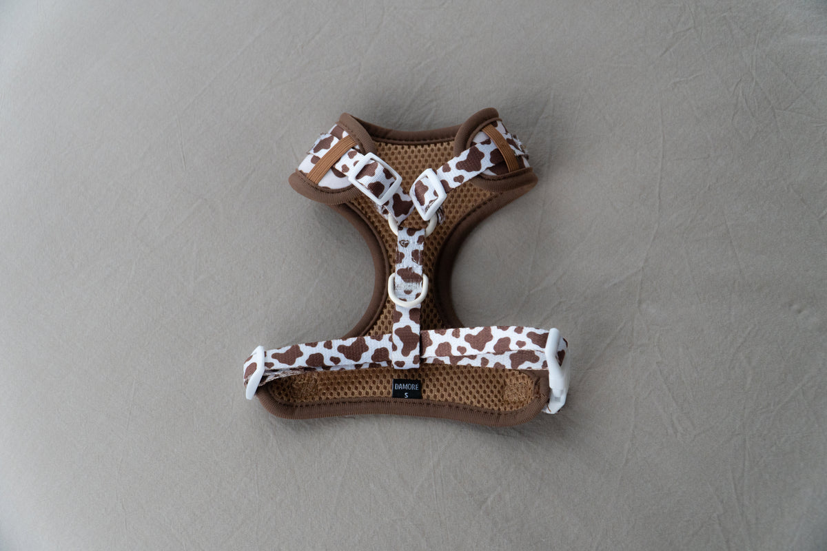 The Cocoa Ranch Harness + Leash Set