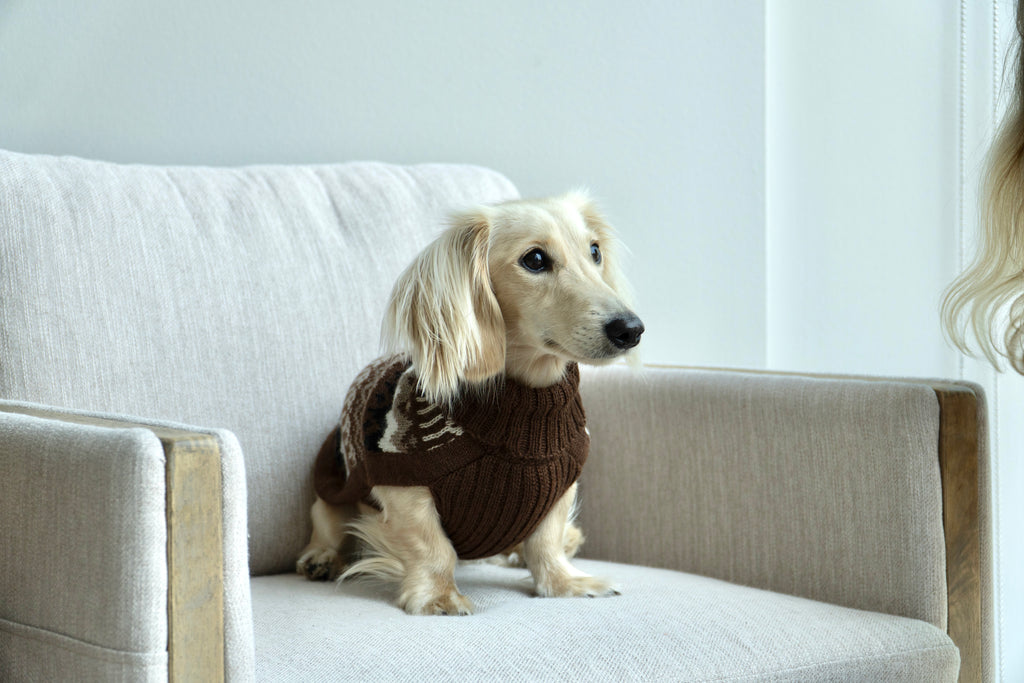 Alqo Wasi Woolly Peaks Alpaca Dog Sweater