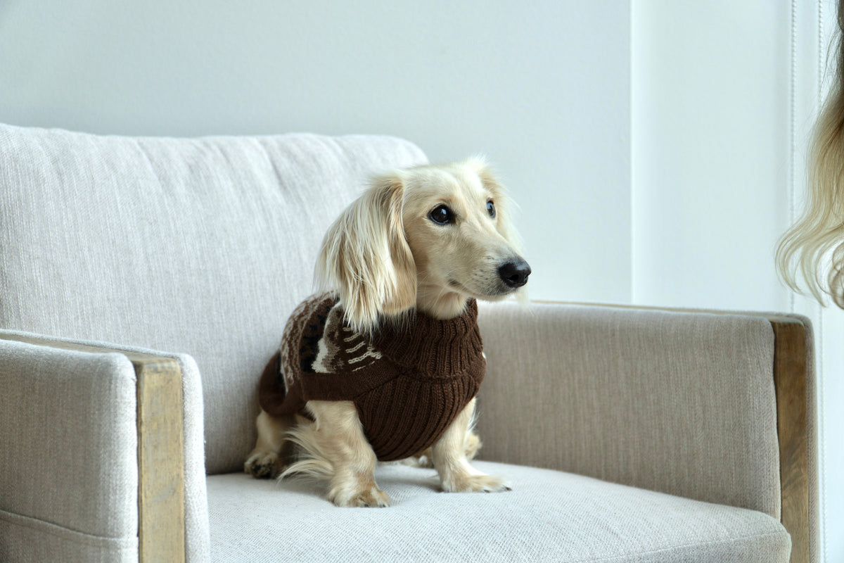 Alqo Wasi Woolly Peaks Alpaca Dog Sweater