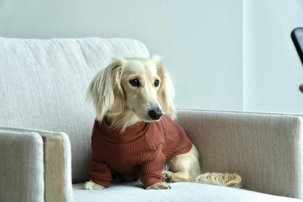 Organic Cotton Waffle Rib T-shirt