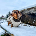 Damoré Alpine Shield Vest