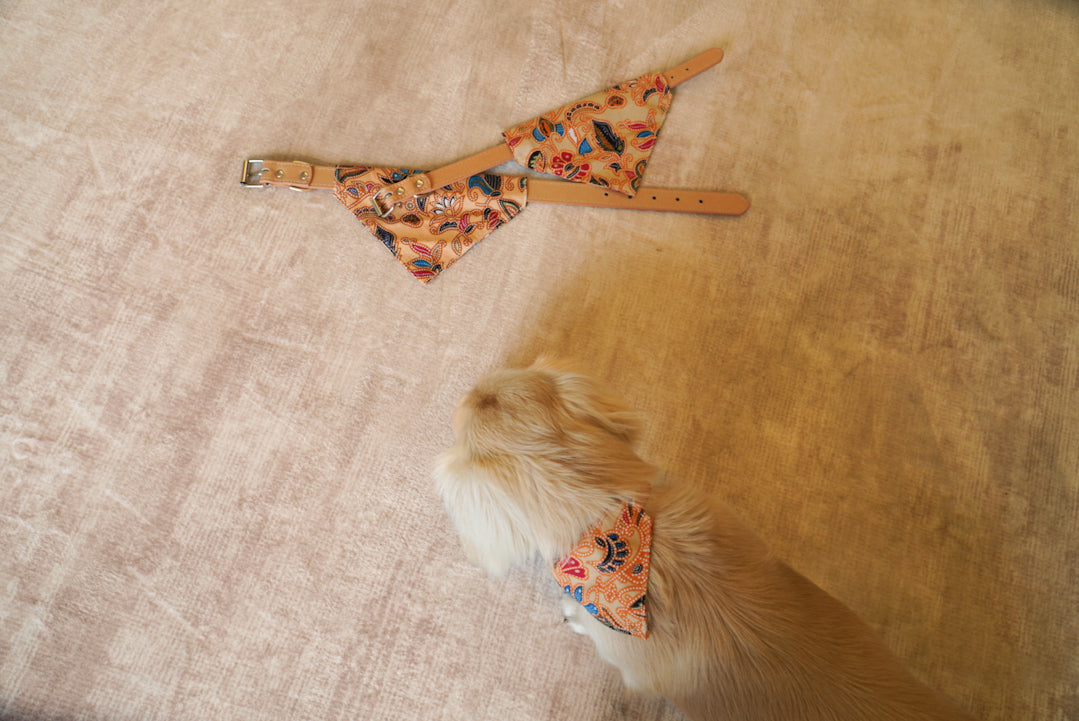 Bandana Collar by Damoré