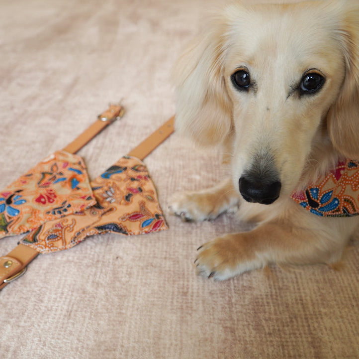 Bandana Collar by Damoré