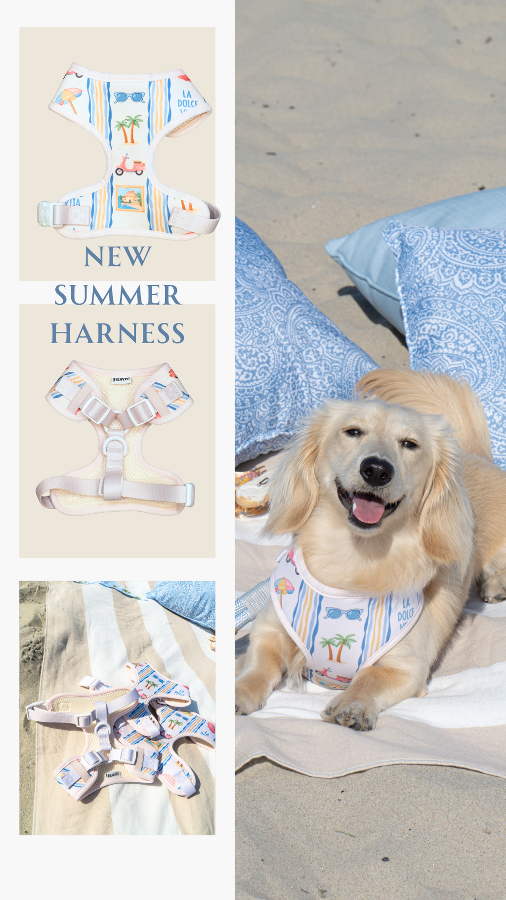 La Damoré Vita Harness