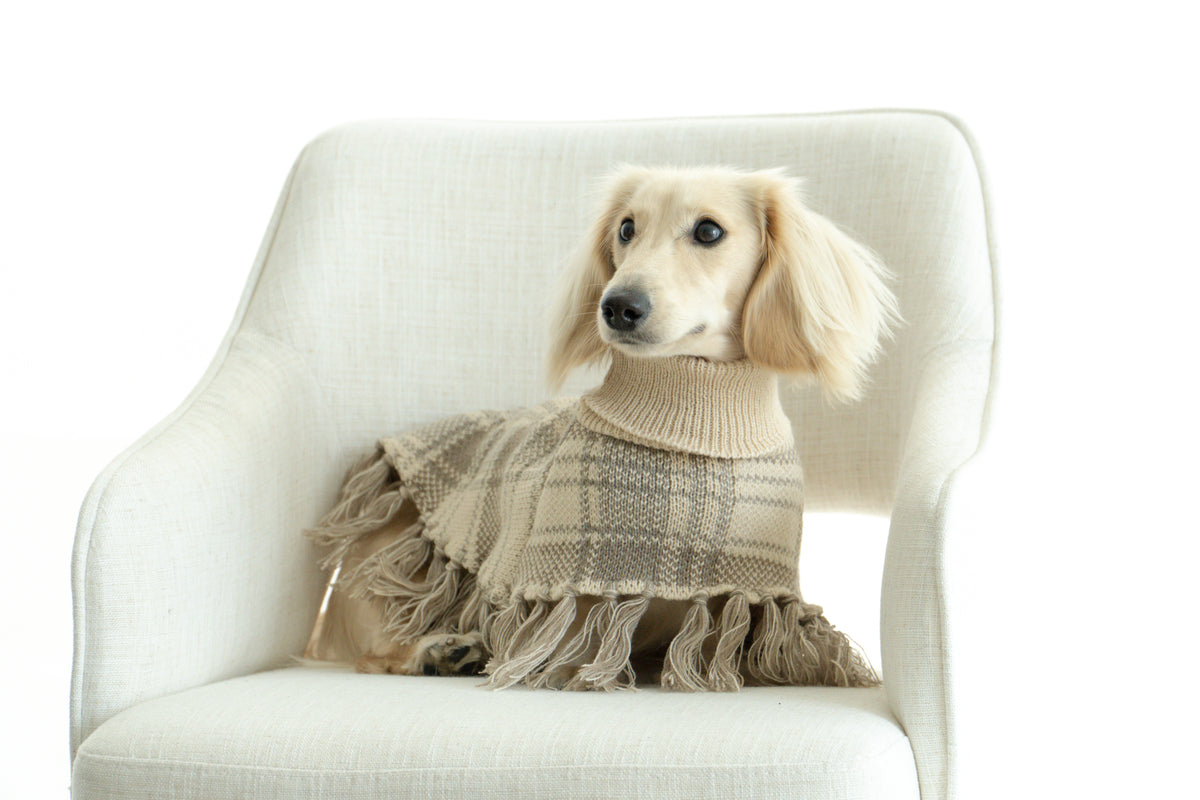 Damoré Plaid Poncho