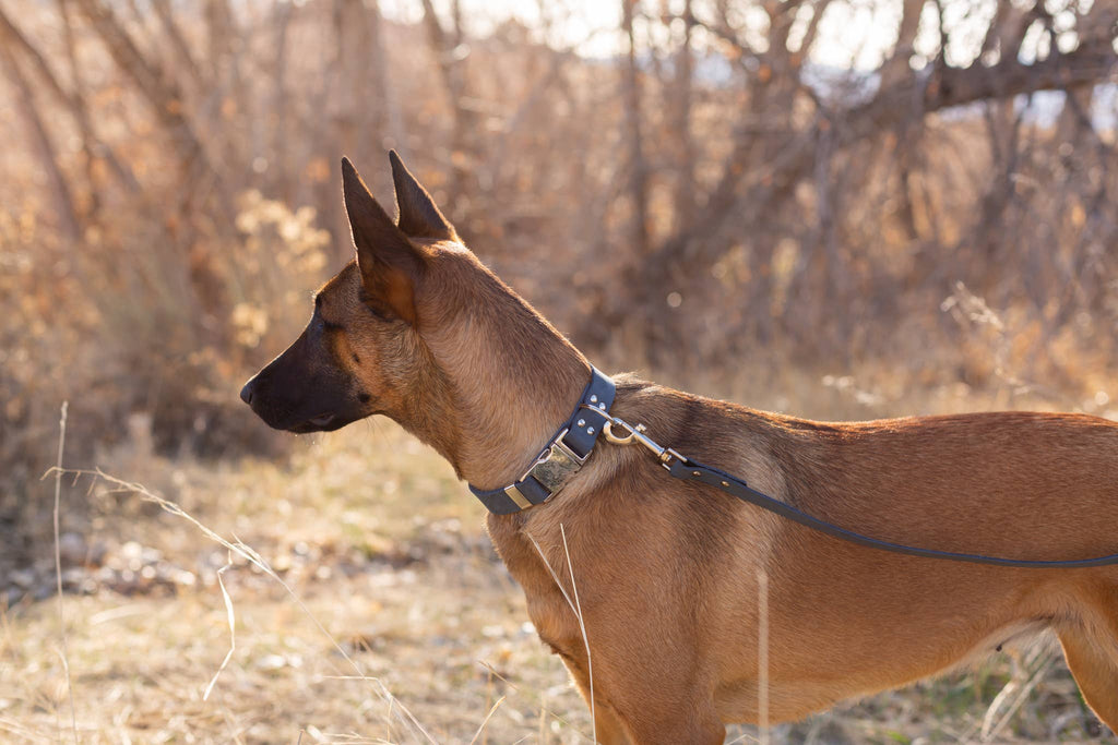 The Signature Soft-Grain Leash