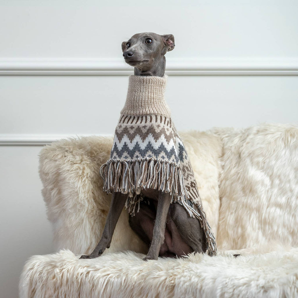 Alqo Wasi Alpaca Dog Poncho