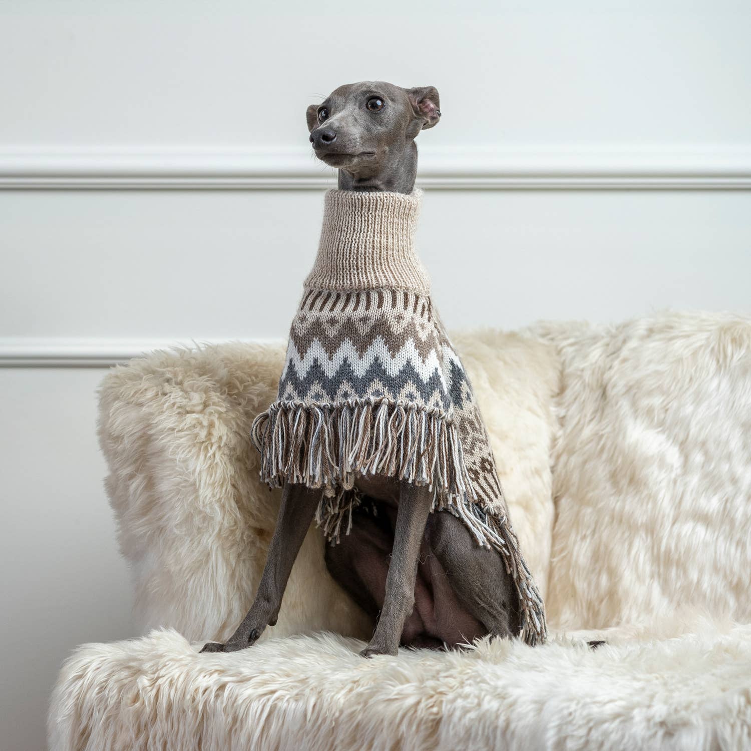 Alqo Wasi Alpaca Dog Poncho