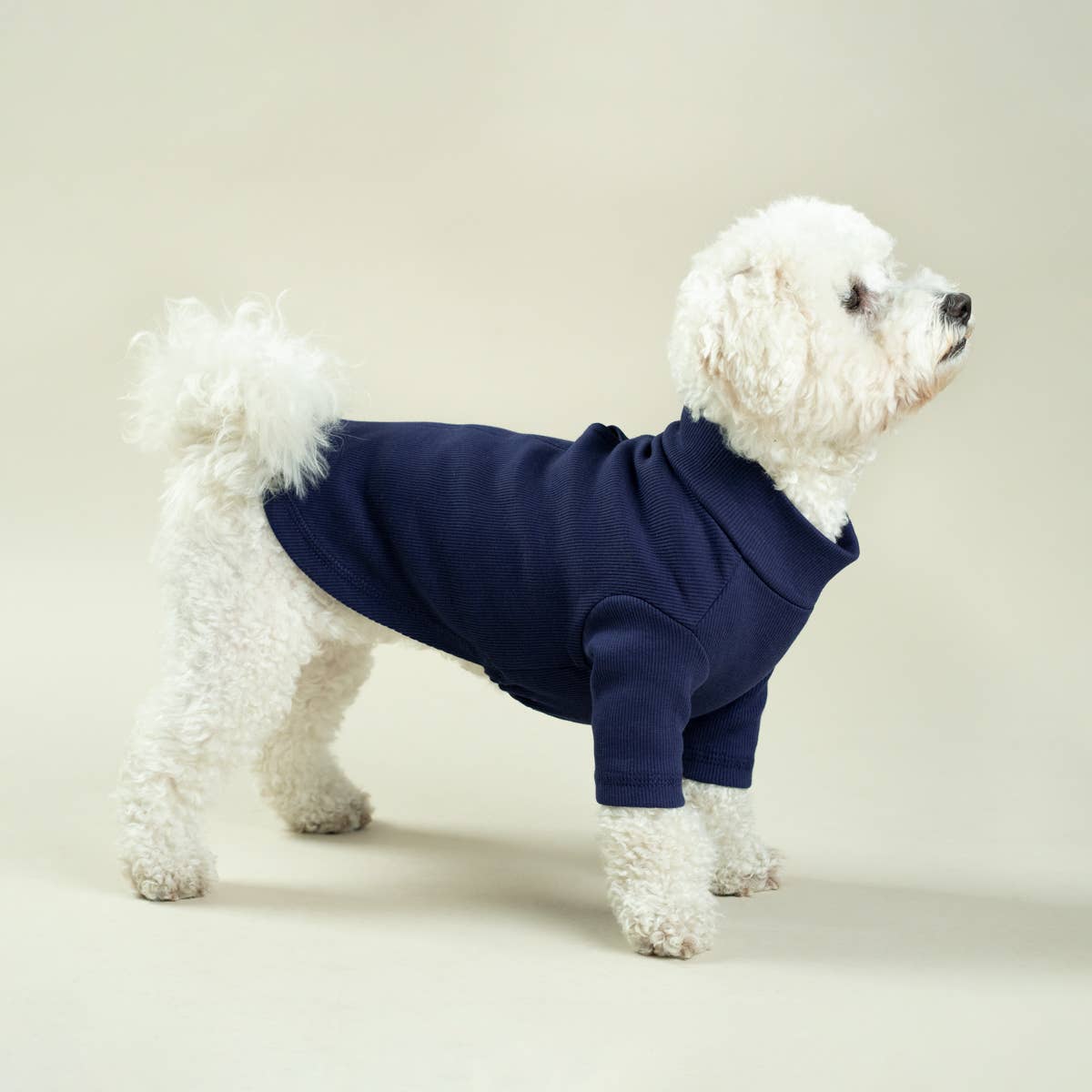 Side view of dog in Marine Blue Pima Cotton T-shirt.