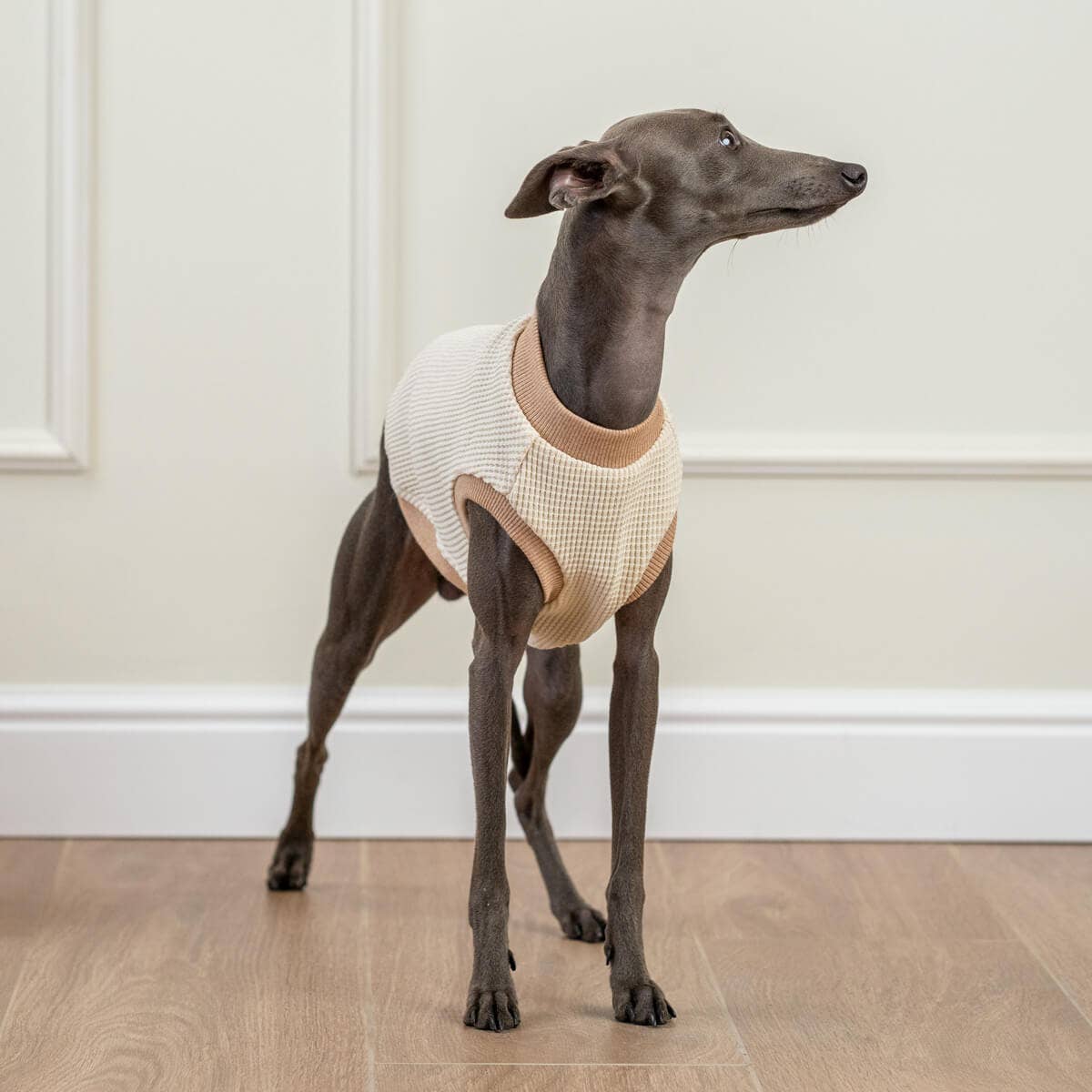 Alqo Wasi Cotton Dog Tank