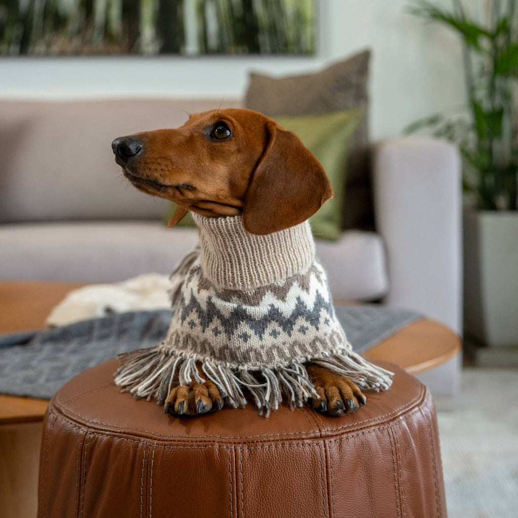 Alqo Wasi Alpaca Dog Poncho