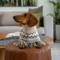 Alqo Wasi Alpaca Dog Poncho