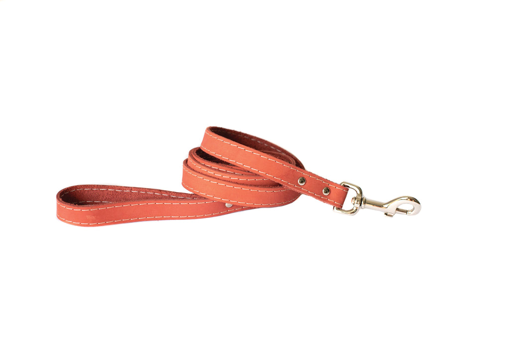 The Stitched Leather Lead