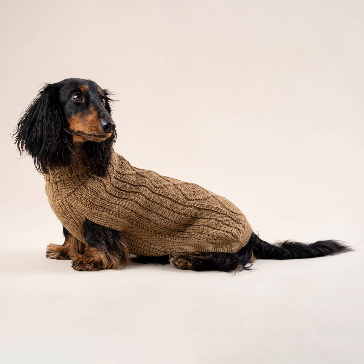 Camel Aran Alpaca Dog Sweater