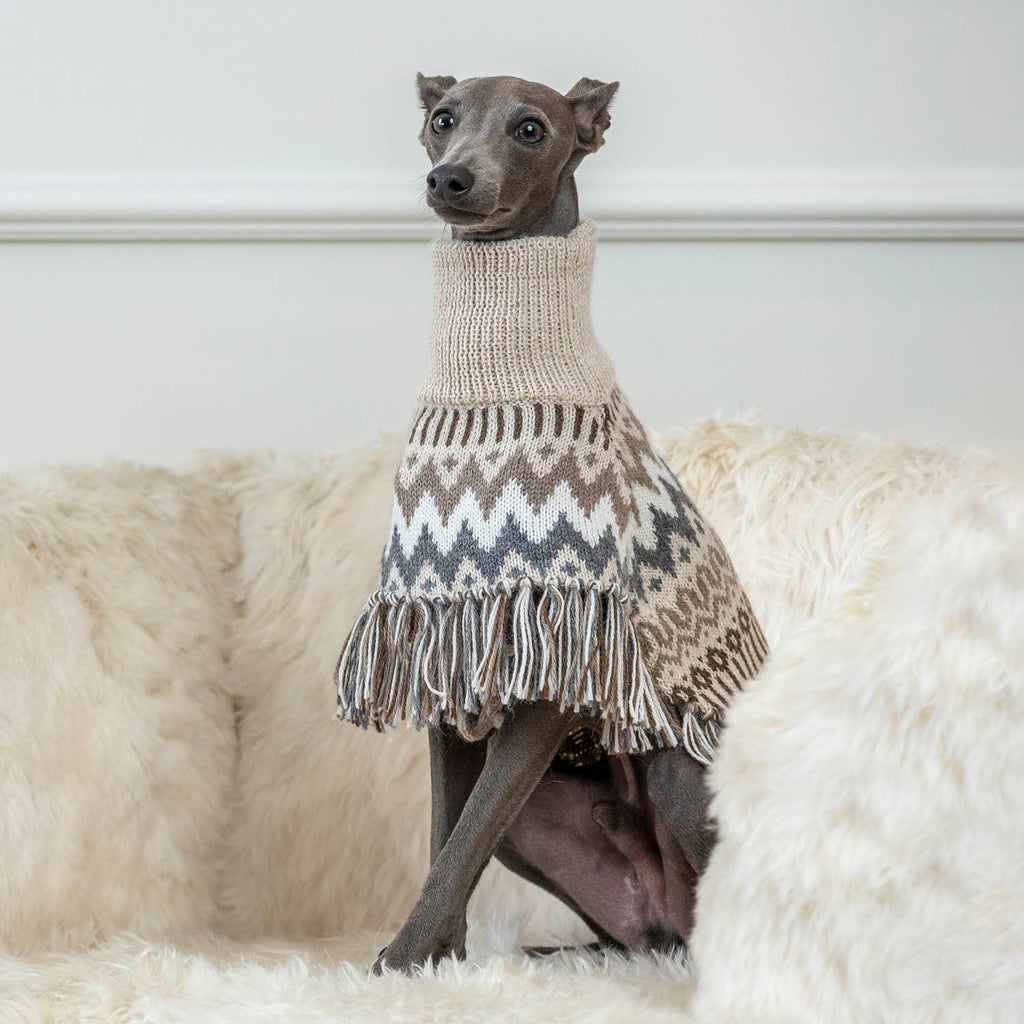 Alqo Wasi Alpaca Dog Poncho