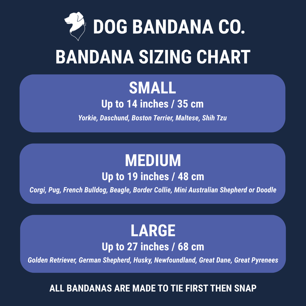 Signature Reversible Cotton Dog Bandana