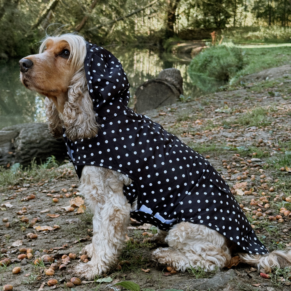 Dog Raincoat - Black Polka Dot